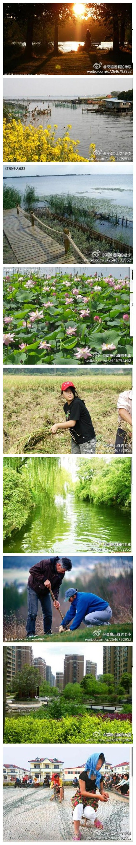 朝霞映在阳澄湖上，芦花放稻谷香，岸柳成行全凭着劳动人民一双手画出了锦绣江南鱼米乡