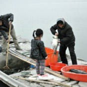 【江苏·阳澄湖】春日阳澄湖半岛，别具风韵，湖鲜正肥。