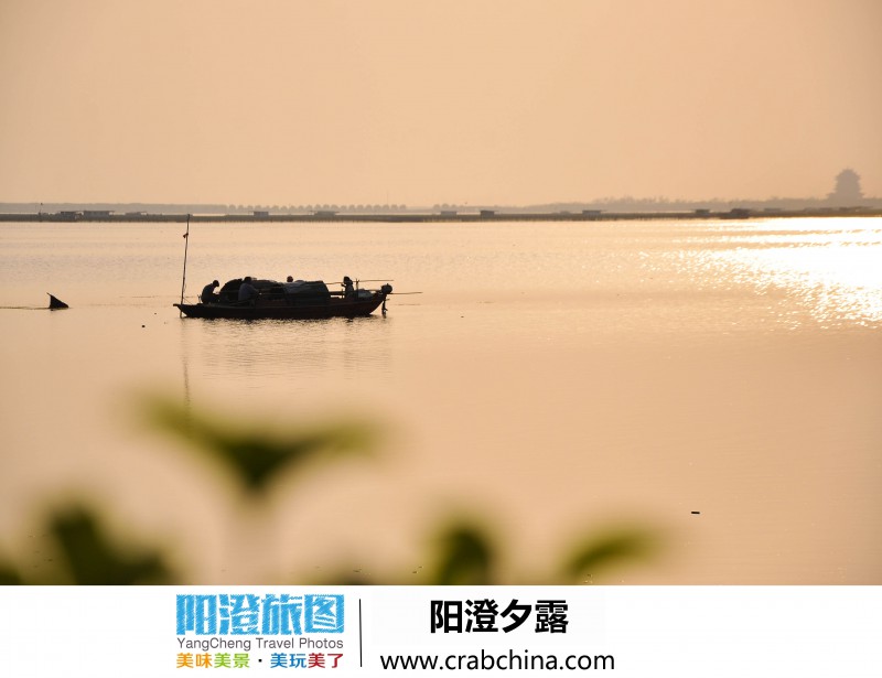 阳澄湖夕露园 阳澄夕露