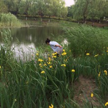 今天阳澄湖生态公园散步[挤眼]