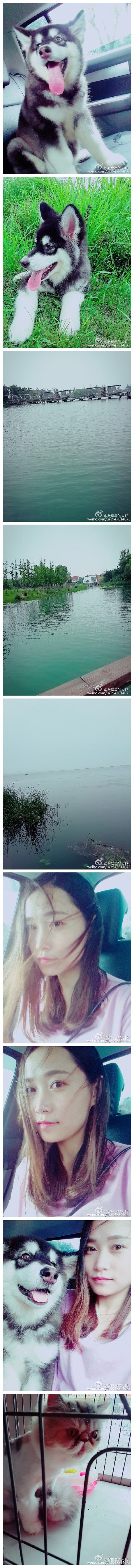 雨后的阳澄湖别有一番味道 二傻我们吹吹风吧