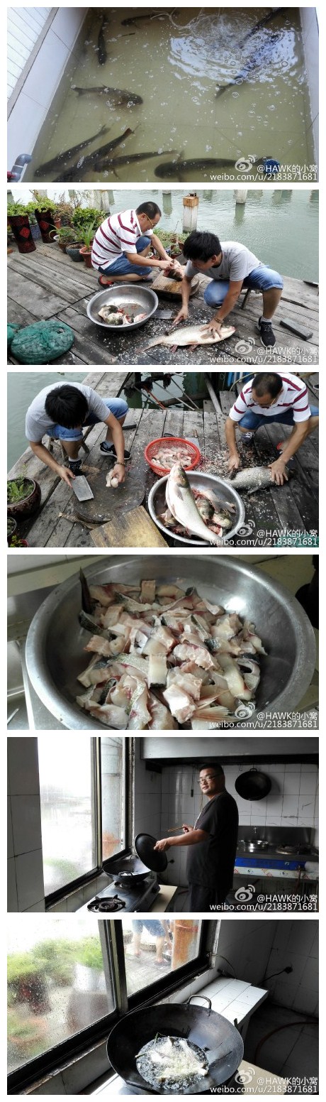 第四次阳澄湖野钓，收获11尾白鲢，跑鱼无数，杀鱼杀的手抽筋，两位操刀手和开油锅做爆鱼的兄弟们辛苦了，还有所有参与及上鱼的兄弟们也辛苦了[good][good][good]