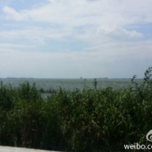 阳澄湖边我喜欢夏花也喜欢秋叶四季怎么这么快