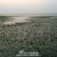 阳澄湖边，吃河鲜，吹湖风，好惬意！吃完坐湖边好好冥想一下，放空自己