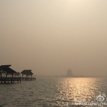 大早上跑到阳澄湖来放生，风景不虚此行。