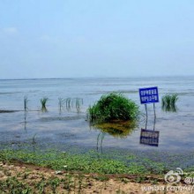 犹念阳澄湖-六月曾徒步阳澄湖半岛感受过夏季的灼热和淡季时湖泊的宁静和薰衣草及各种事物的悠然自得,恍然几月已过这里应该要忙碌起来,因为大闸蟹收获的季节即将来临[呲牙]