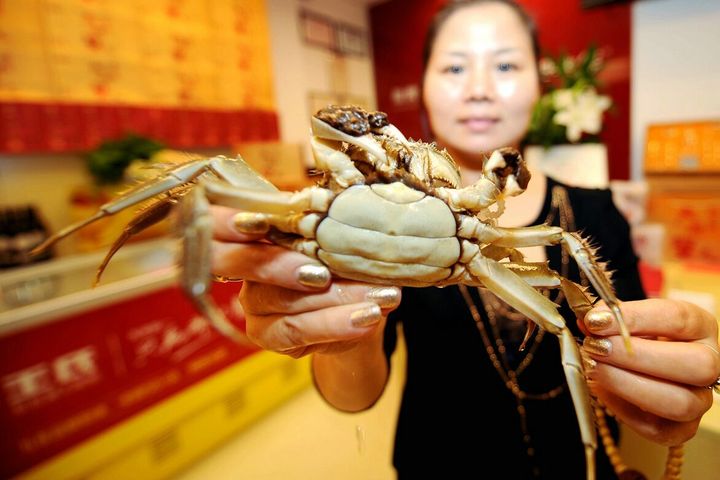 阳澄湖大闸蟹