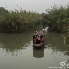 《烟雨中的阳澄湖》 一抹素白流韵，弹奏江南的婉约，一丛芦苇，写入摇曳的诗行，将逝水流年，浅斟轻酌。静穆，独泊渔歌~