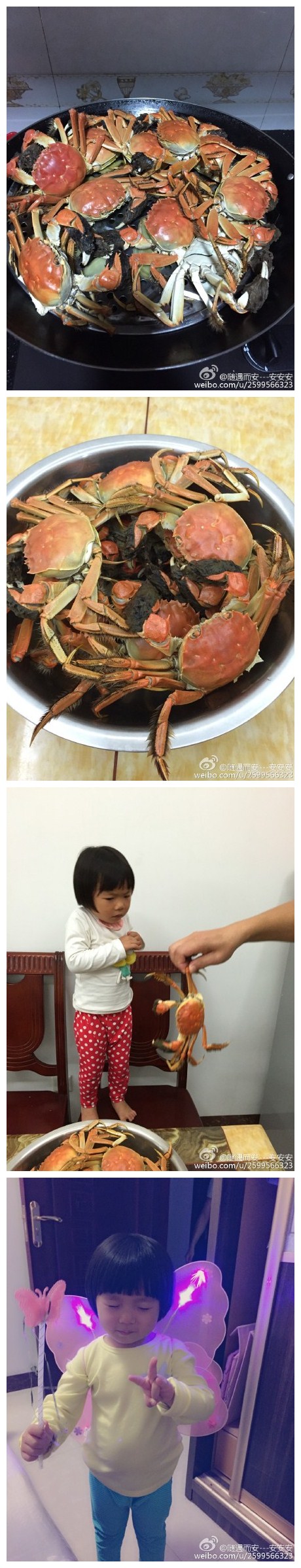 阳澄湖大闸蟹，超美味[馋嘴][馋嘴][馋嘴]