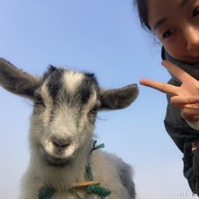 阳澄湖大闸蟹[色] 天气好棒[可爱][太阳][太阳]