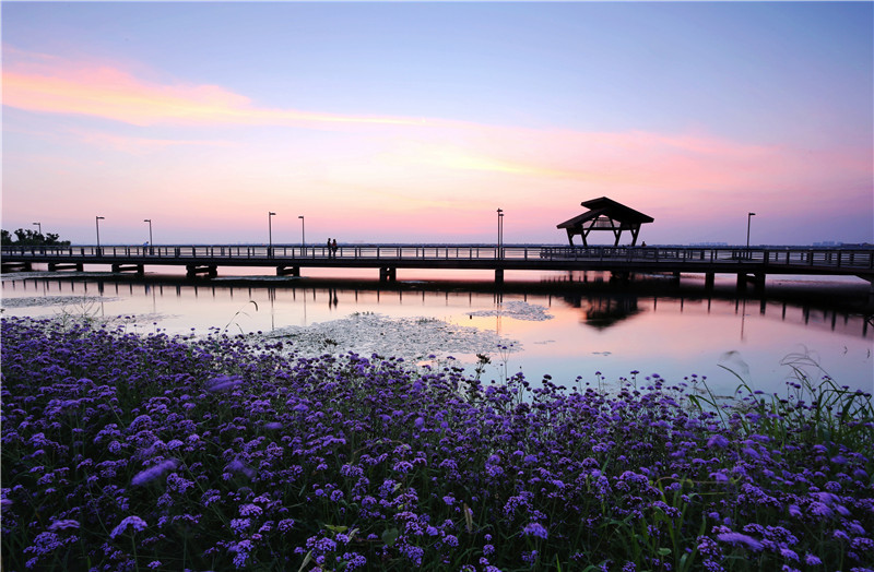 阳澄湖半岛 旅游 风景 路线