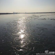 今天的阳澄湖是冻住的[嘻嘻][嘻嘻][嘻嘻]