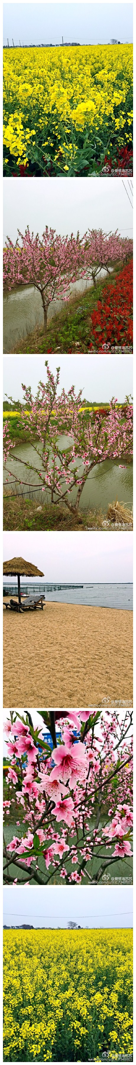 阳澄湖莲花岛