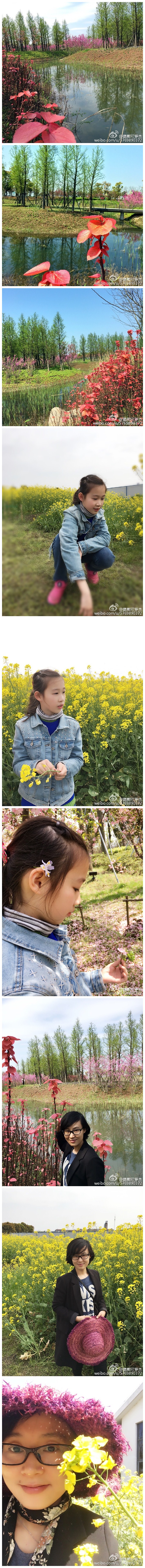 阳澄湖边的绿地一望无际，湖边的自行车道一步一景，骑着车子、听着湖风、嗅着春光，鹅黄、翠绿、嫣红等春的颜色一股脑儿扑入眼帘，走在春天的画卷里，心里也会溢出诗来