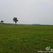 阳澄湖比太湖东美[哈哈]