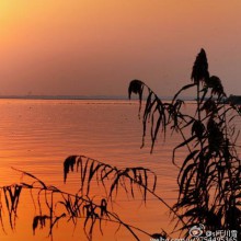 阳澄湖的大闸蟹味美，但阳澄湖的夕阳风光更美。