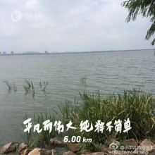 阳澄湖边，天高气爽，景色宜人