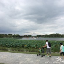 下了两天雨 今天终于可以出去放风啦 没有浪费这美好的中秋假期 阳澄湖半日游 很舒服