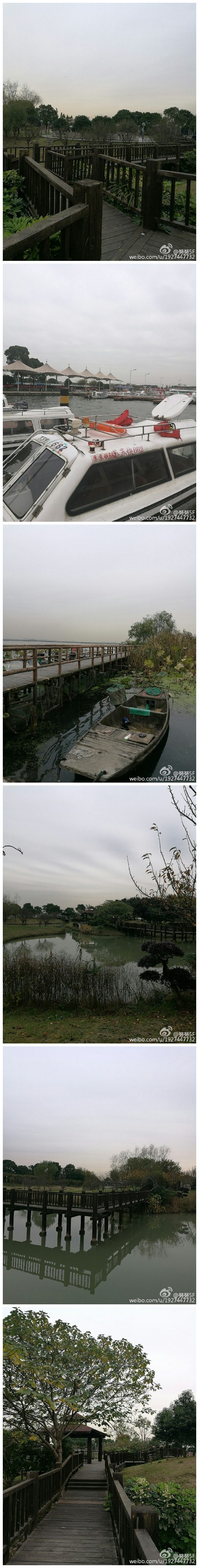 阳澄湖一日游