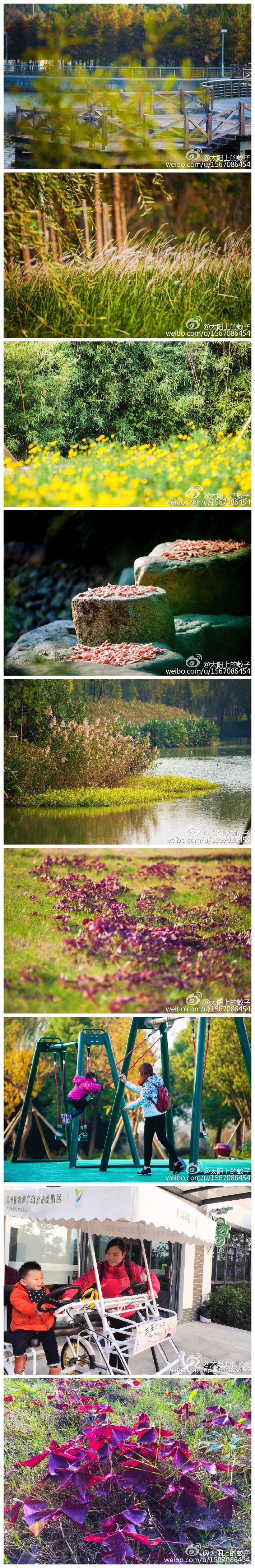 阳澄湖生态体育公园