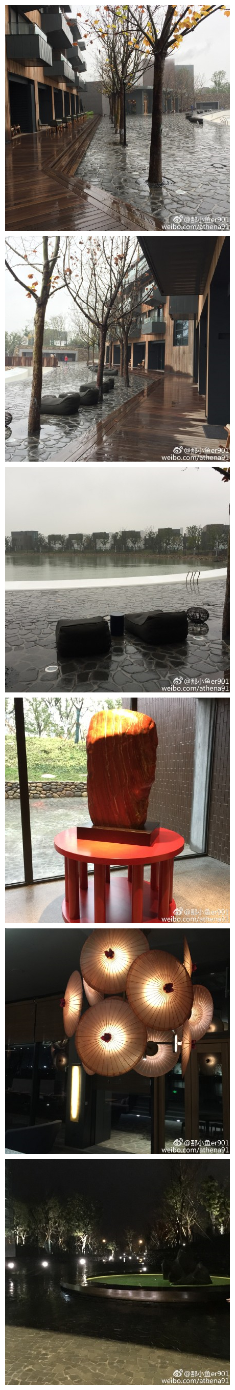 雨中的阳澄湖，清爽又干净的呼吸～