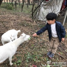 阳澄湖边喂羊 ​