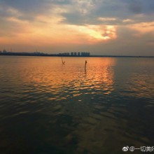 阳澄湖边，春风正好