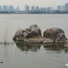 人迹稀少的阳澄湖南岸，一条自行车道沿湖岸而筑，西入口在阳澄湖教堂区，向东而行，链接阳澄湖半鸟自行车道。一路循环骑行，总长约三十五公里……阳春来此，尽享生态慢生活 ​