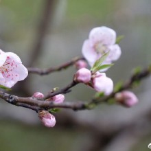 阳澄湖，遗憾没有大闸蟹。[男孩儿][女孩儿] ​