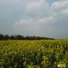 奇冷的天气过后，终于迎来了太阳。