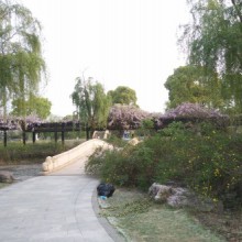 又逛了苏州的阳澄湖，三个湖都好大[带着微博去旅行]