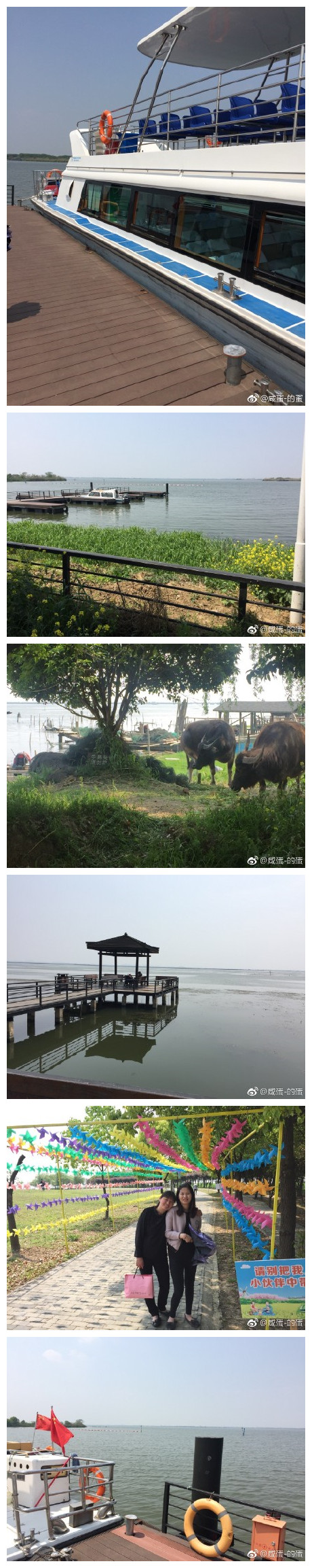 阳澄湖莲花岛半日游。吃了一桌农家乐，吃了一半才拍大腿发现没拍照[白眼]景色宜人，不过景区的开发程度令人唏嘘.