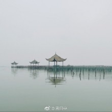 憂鬱的蘇州 還養不肥大閘蟹的陽澄湖 美滋滋吃甜蝦的我