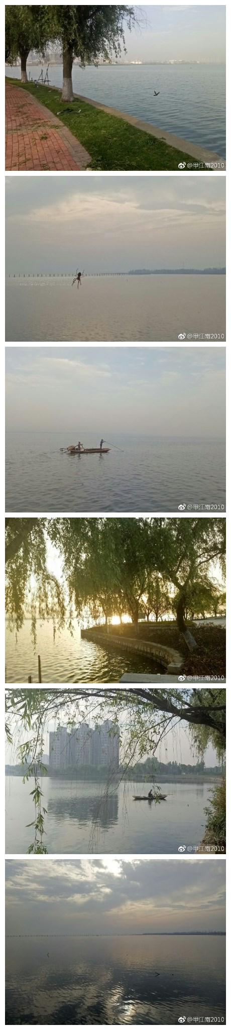 阳澄湖畔,浅水湾处,微风和熙,波澜不惊,人与自然和谐相处。 ​