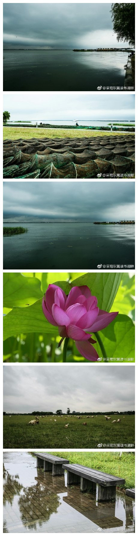 暴雨间歇，阳澄湖半岛。