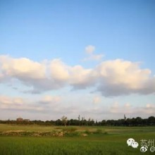 亲近一座城市，最好的速度就是骑行，沿湖骑行更是不可多得的享受，比如来阳澄湖半岛，全程50公里的自行车道，蓝天、水波、绿树、小花……你可以从日出骑到日落，看悠然的白云在蓝天漫步，看清晨镜面般的湖水一步步