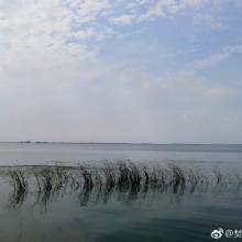 阳澄湖初夏。六月上旬。​