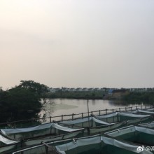 阳澄湖畔偶遇，住下呗，农舍