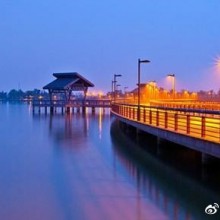 <初夏雨后>初夏雨停晚来风，阳澄湖畔一排灯。香泥青瑟纳微凉，月色铺面水波更。