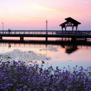 阳澄湖半岛旅游度假区