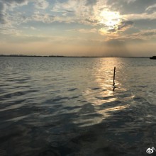 阳澄湖畔