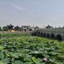 昨天早上7:30不到出门，去了重元寺还愿顺便给儿子祈福，希望他健康快乐成长。重元寺荷花都开了，好美的，就是太热太热，烧完香我们吃了碗素面就回家了。