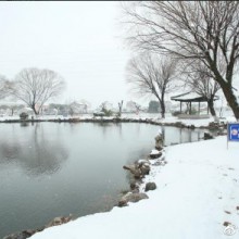 回忆一波阳澄湖镇雪景图 ​