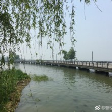 阳澄湖仙樱湖@苏州市旅游局 @苏州工业园区发布 @带着微博去旅行 ​