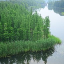 【在阳澄湖绿色慢行空间 深氧骑行[爱你] 】阳澄湖东部慢行系统位于苏州通澄路以西、阳澄湖以东，高铁两侧。经过两年的精心打造，现已打造成集湿地景观和运动休闲于一体的绿色慢行公共空间。[太开心] 林允瘦1